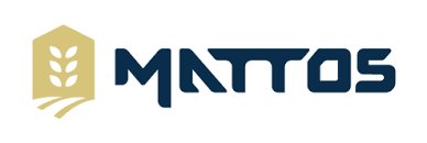 Grupo Mattos